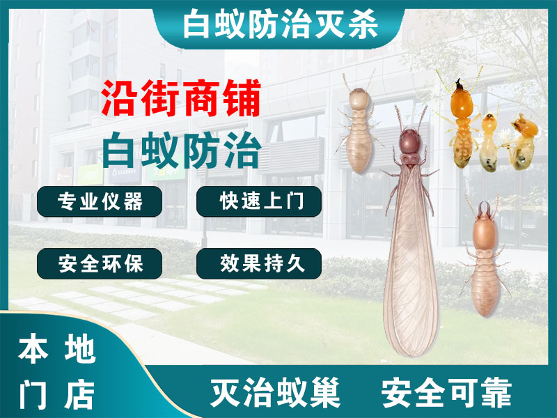 诸暨沿街商铺白蚁防治