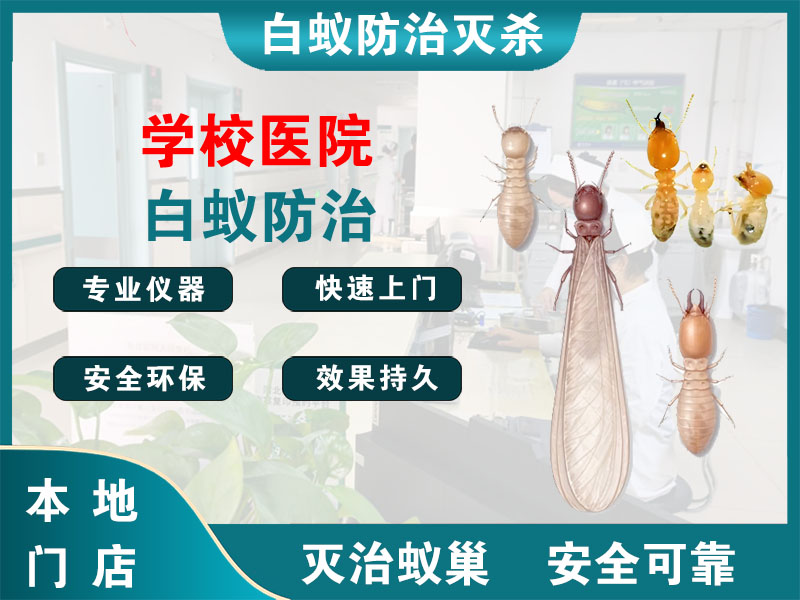 诸暨学校医院白蚁防治