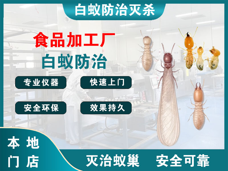 诸暨食品加工厂白蚁防治