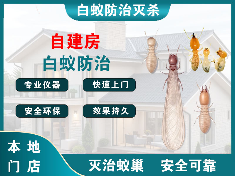 诸暨自建房白蚁防治