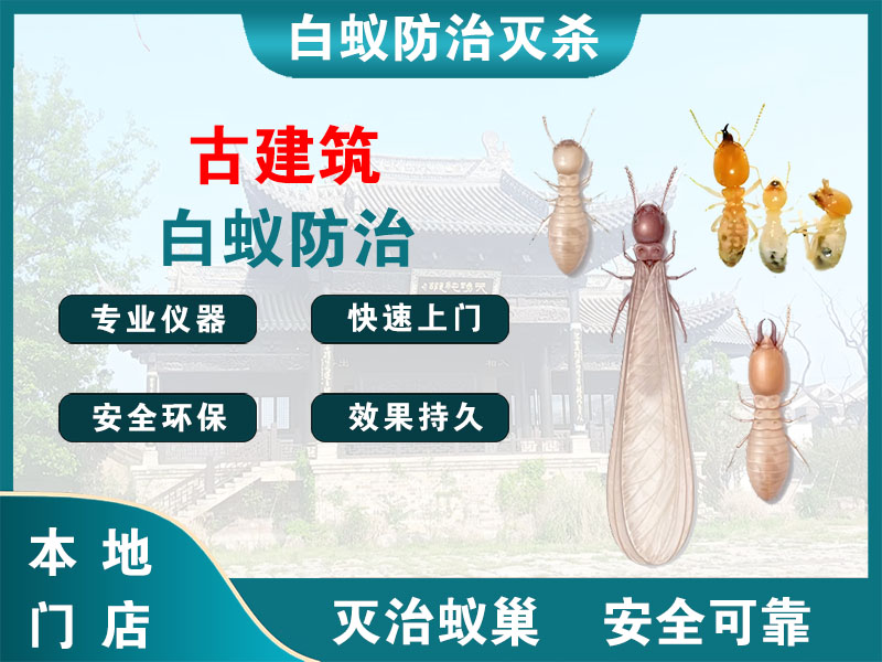 诸暨古建筑白蚁防治