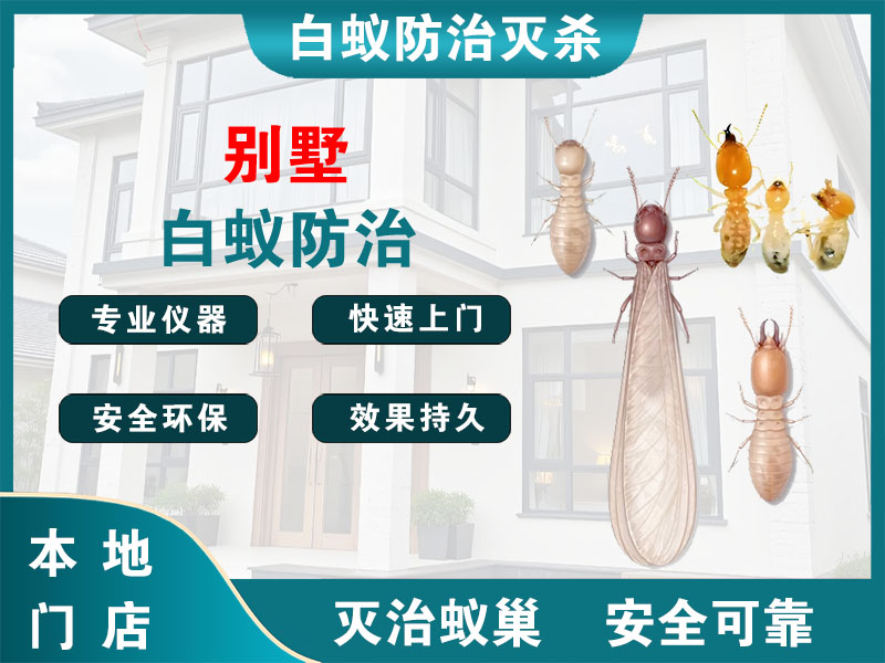 诸暨别墅白蚁防治
