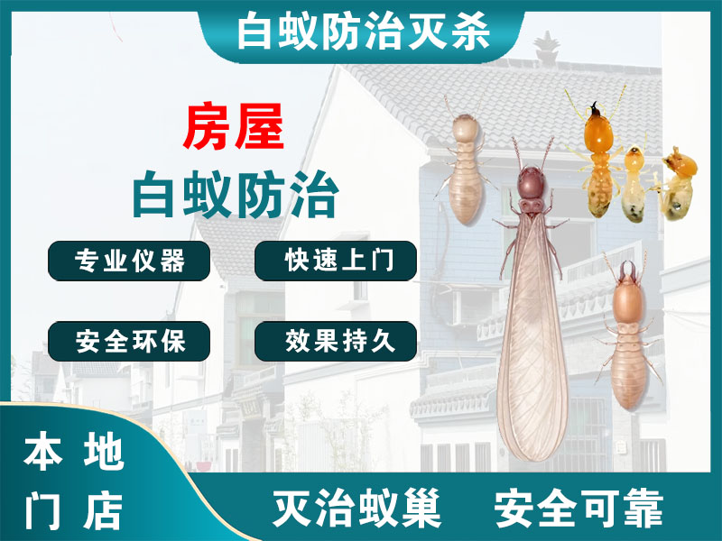 诸暨房屋白蚁防治